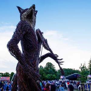 The Famous Fox at the Cambridge Folk Festival 2012